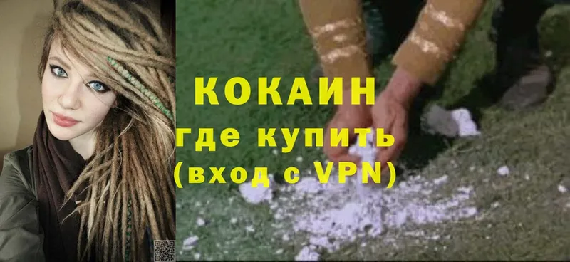 COCAIN Fish Scale  закладка  Новозыбков 