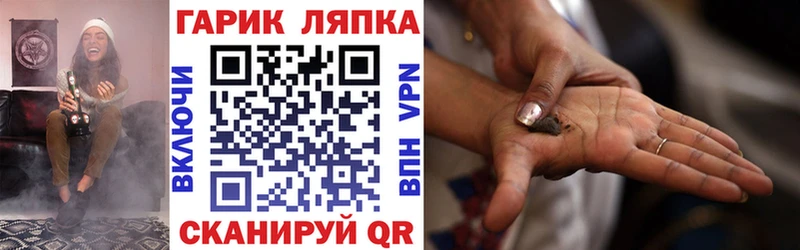 MEGA ссылки  площадка наркотические препараты  Гашиш индика сатива  цены наркотик  Новозыбков 