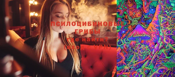 мескалин Медвежьегорск