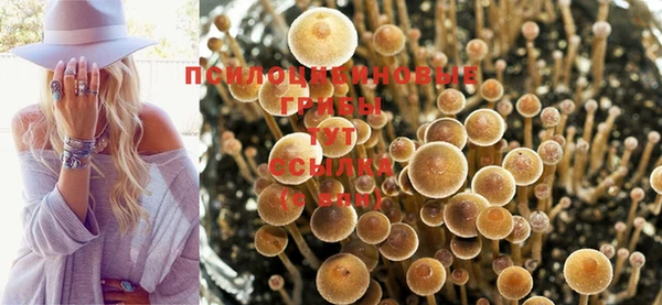 ПСИЛОЦИБИНОВЫЕ ГРИБЫ Медногорск