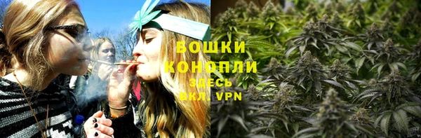 ПСИЛОЦИБИНОВЫЕ ГРИБЫ Медногорск