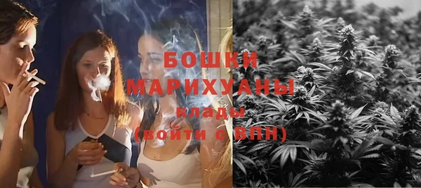 ПСИЛОЦИБИНОВЫЕ ГРИБЫ Медногорск
