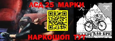 индика Азнакаево