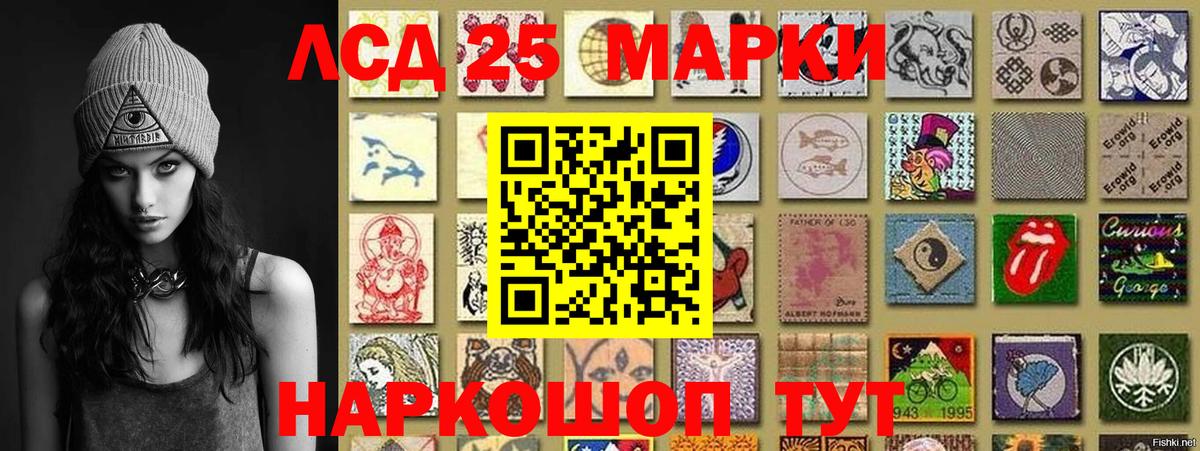 Alpha-PVP СК   Бошки Шишки  Новозыбков  Вход с VPN  Мефедрон   Гашиш  КОКАИН 