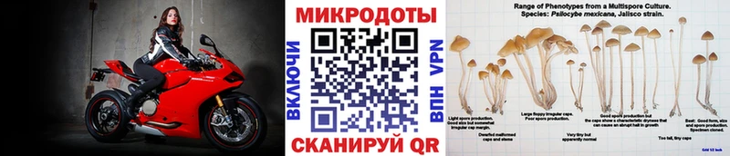 Псилоцибиновые грибы GOLDEN TEACHER Новозыбков