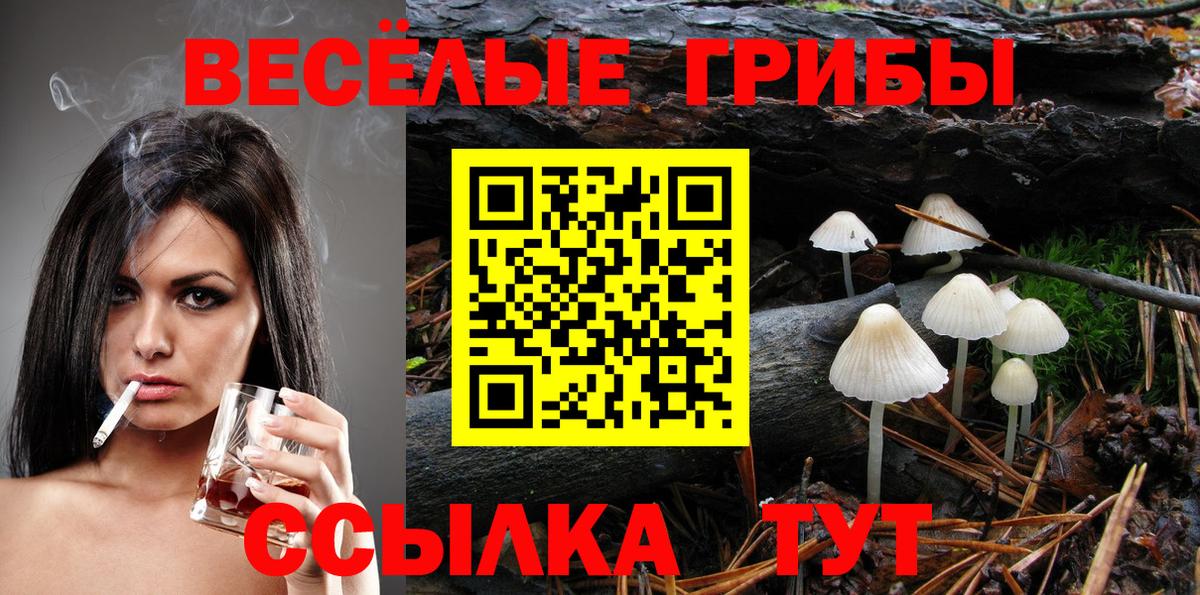 Псилоцибиновые грибы Magic Shrooms Новозыбков