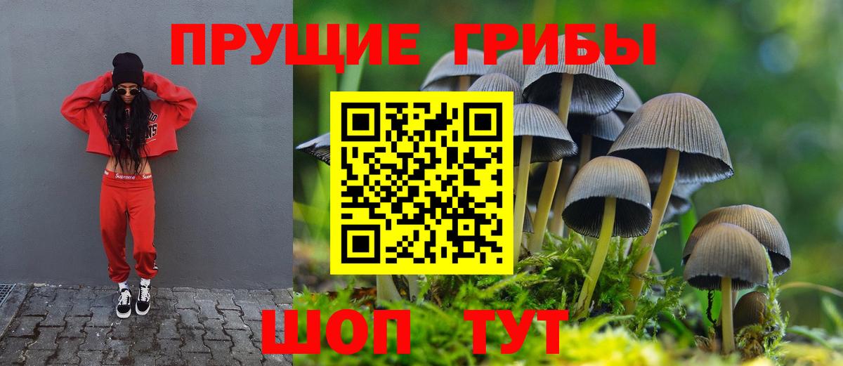 Новозыбков  Псилоцибиновые грибы ЛСД  Псилоцибиновые грибы мухоморы  Вход с VPN 
