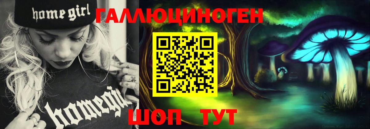 Псилоцибиновые грибы Cubensis Новозыбков