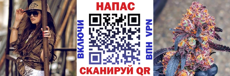 omg рабочий сайт  Новозыбков  Бошки Шишки сатива  где можно купить наркотик 