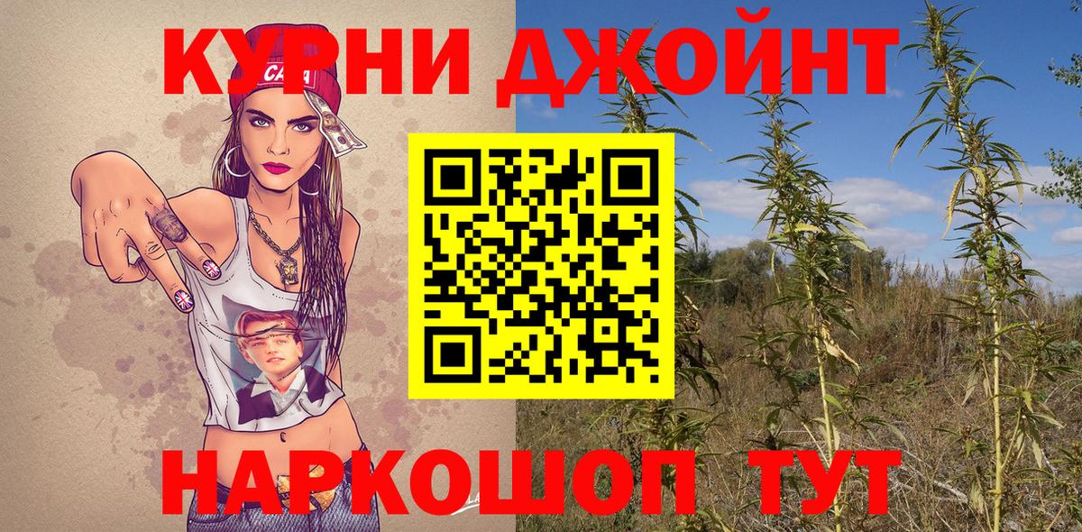 МАРИХУАНА конопля  Новозыбков  Бошки марихуана марихуана 